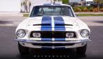 Shelby GT350 by MetroWrapz 2019 года